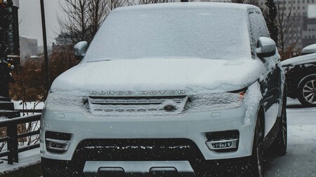 Nieve 8
